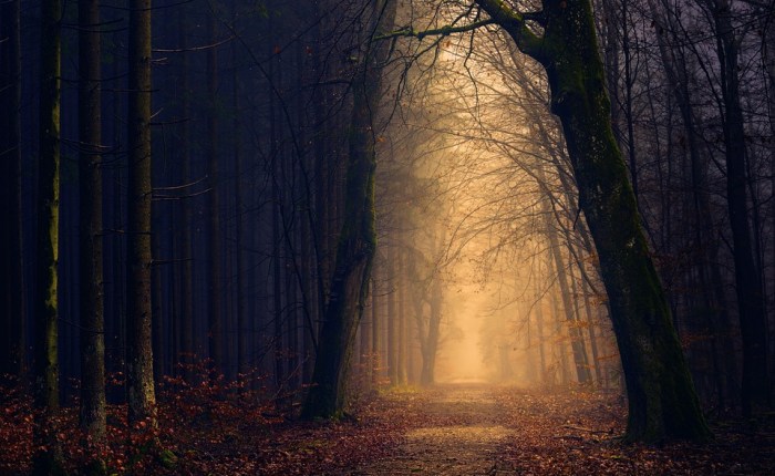 Adorning the dark: A post on the creative&nbsp;process